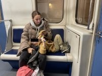 О опять Ивашка заказ отрабатывает на мигрантов. Таких долбанутых и у русских полно

Могу еще кучу фоток накидать с русскими