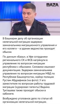 ох уж эти Замы)))