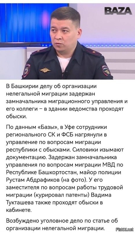 ох уж эти Замы)))