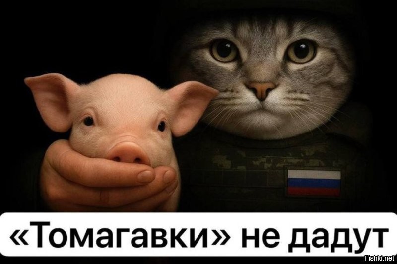 Политическая рубрика от&nbsp;NAZARETH за&nbsp;22.10.25. Новости, события, комментарии - 1915