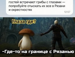 Подборка из осеннего леса