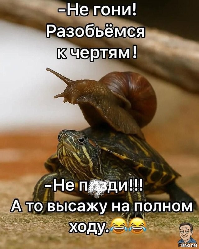 Солянка от 23.10.2025