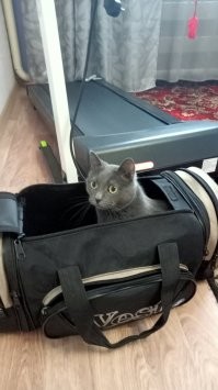 Её трудно найти, прячется в самых неожиданных местах