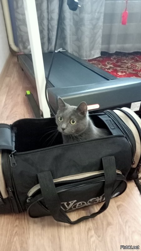 Её трудно найти, прячется в самых неожиданных местах