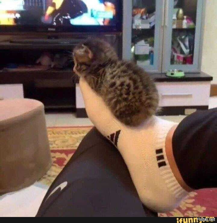 Выходные ! )))