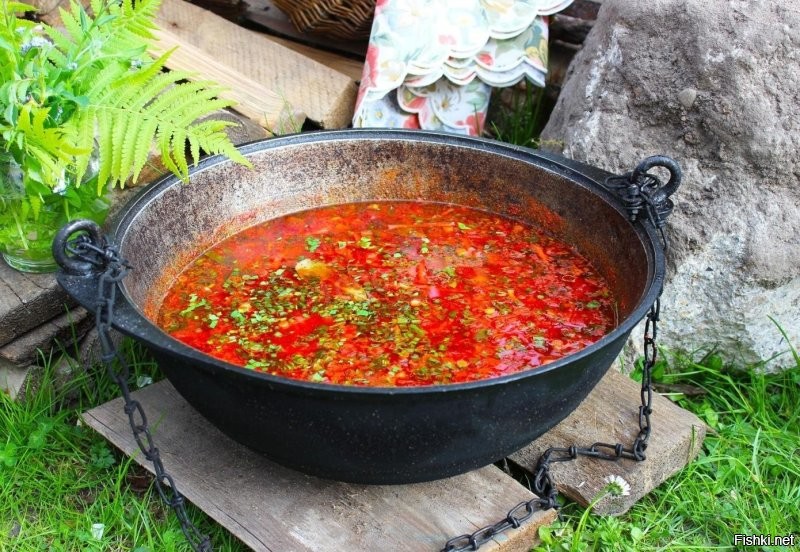 Солянка от 24.10.2025