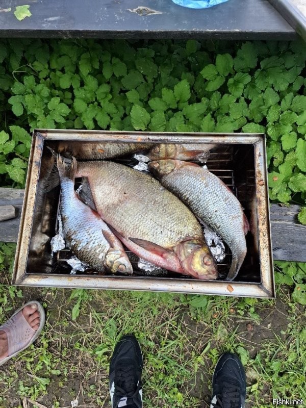 Закрывали лето в Звенигороде на Москве реке