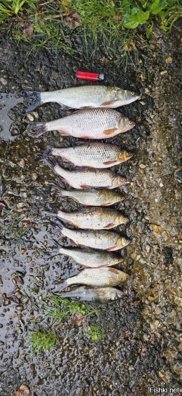 Закрывали лето в Звенигороде на Москве реке