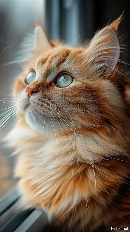 Солянка от 24.10.2025