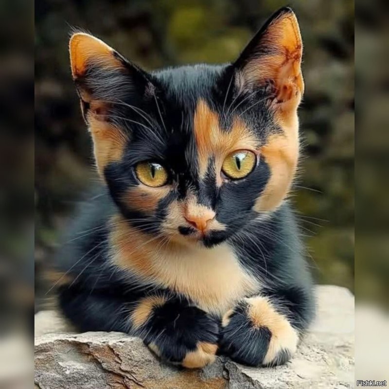 Доброе утро