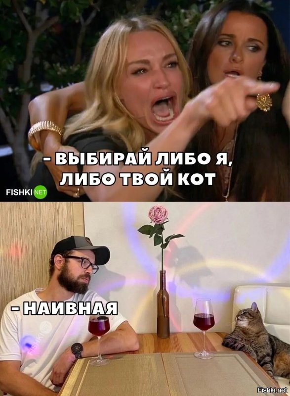 Пушистые помощники