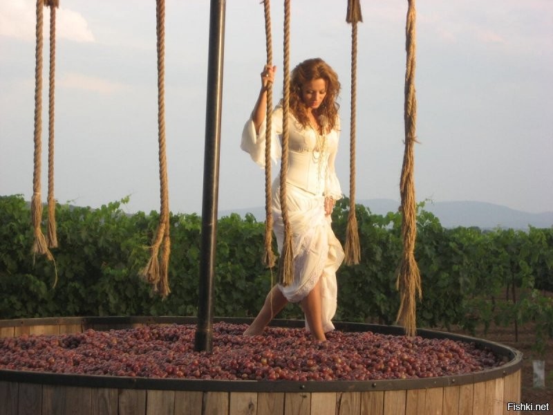 Солянка от 24.10.2025