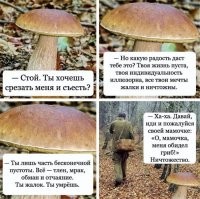Подборка из осеннего леса