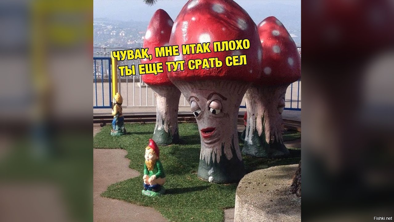 Подборка из осеннего леса