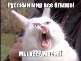 "Уступите дорогу": русскоязычный робот для мытья пола оскорбил литовцев в супермаркете Вильнюса