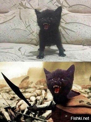 Солянка от 24.10.2025