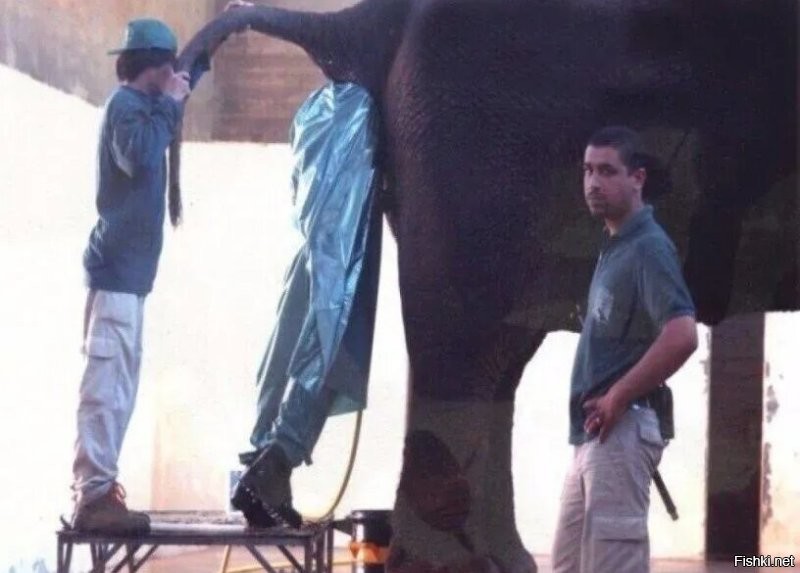 То ли дело в Лидсе 
Воюй до обосрачки..