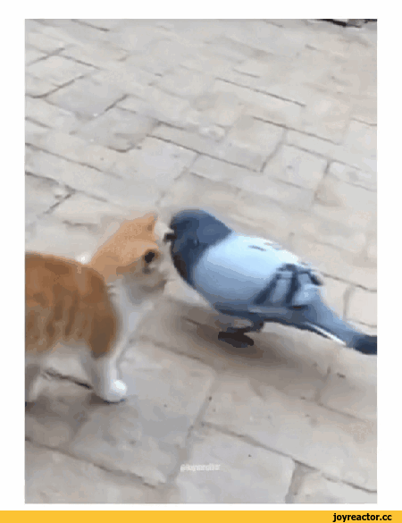 Солянка от 25.10.2025