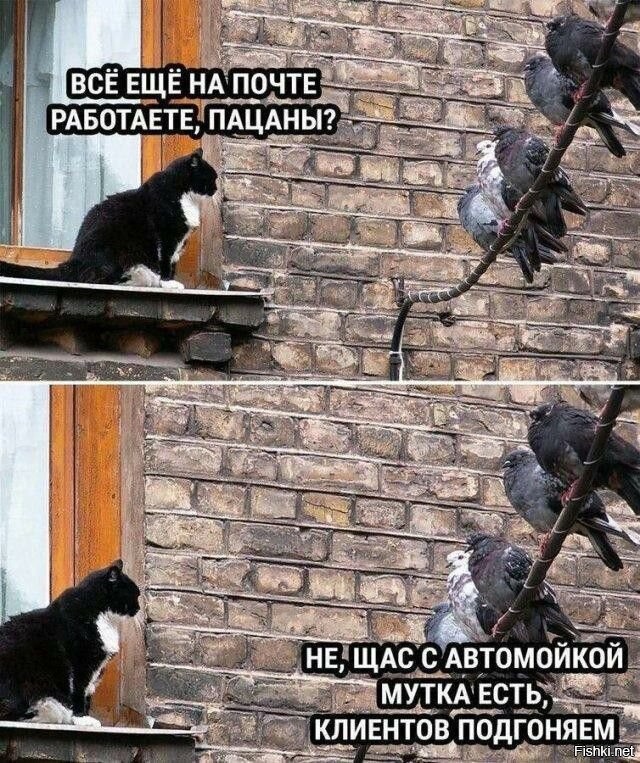 Солянка от 25.10.2025