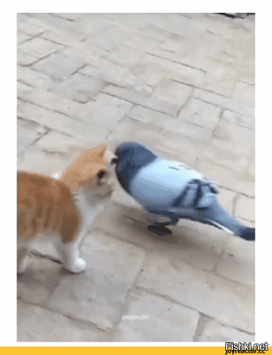 Солянка от 25.10.2025