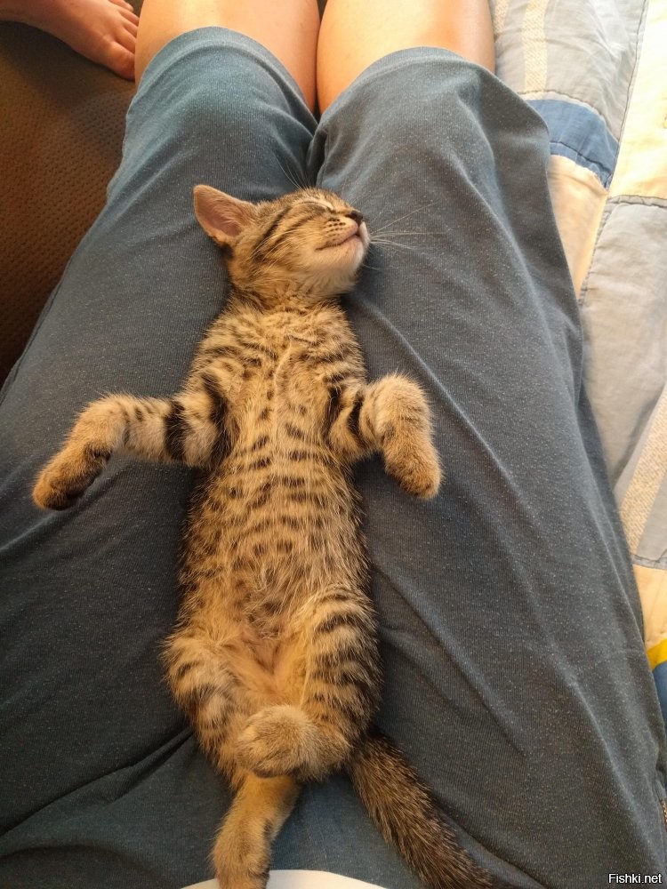 Солянка от 25.10.2025