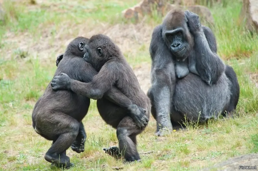 Танцуют все!