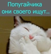 20 фото, которые лечат душу лучше любой терапии