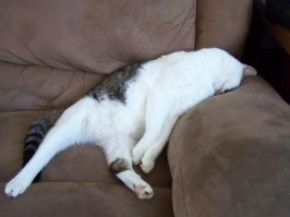 20 фото, которые лечат душу лучше любой терапии