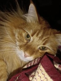 Солнышко встало!