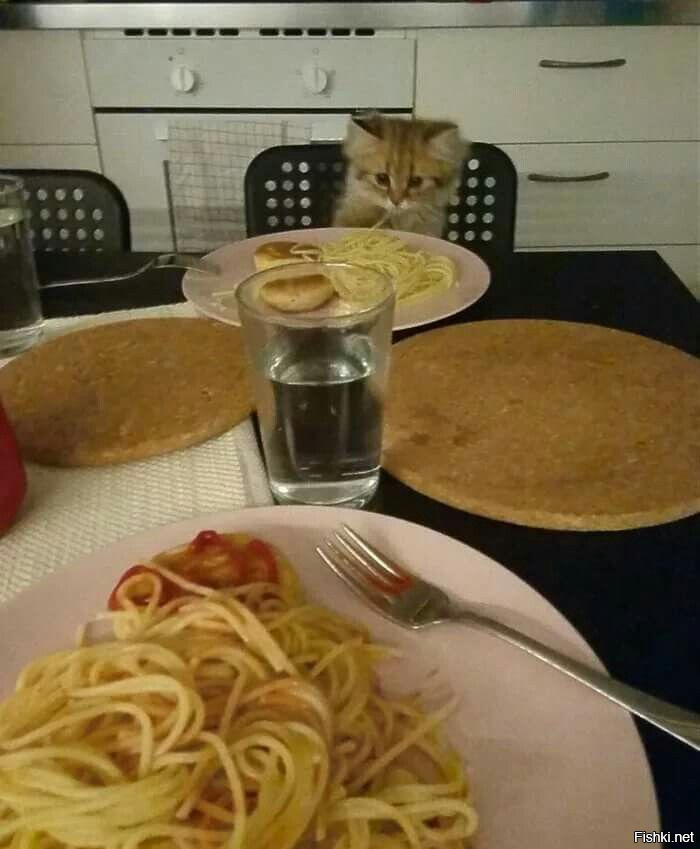 Солянка от 25.10.2025