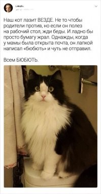20 фото, которые лечат душу лучше любой терапии