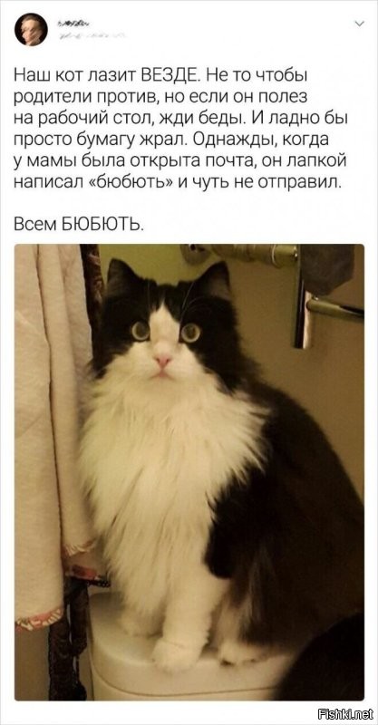 20 фото, которые лечат душу лучше любой терапии
