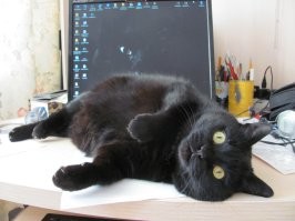 20 фото, которые лечат душу лучше любой терапии