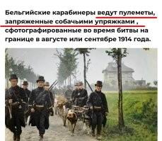 Русский не родной?