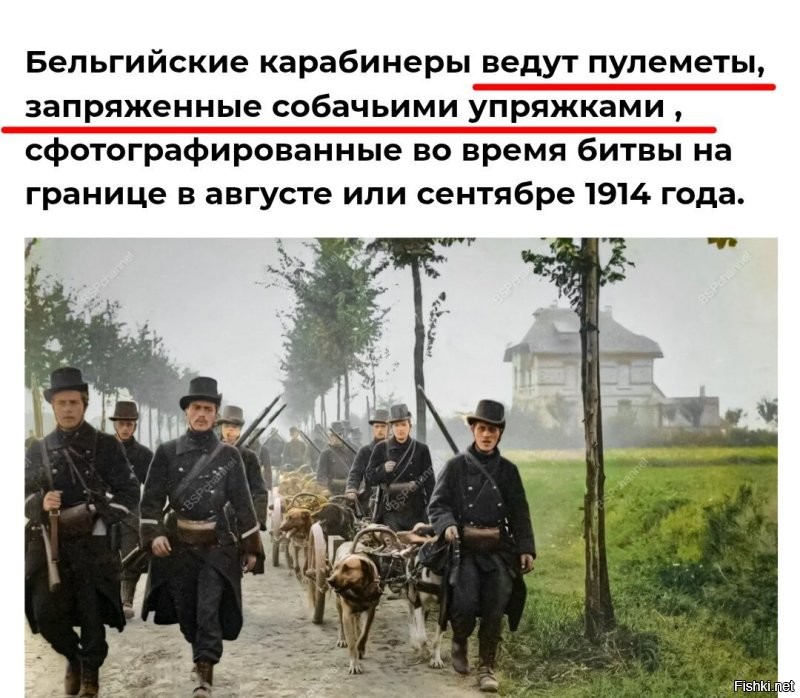 Русский не родной?