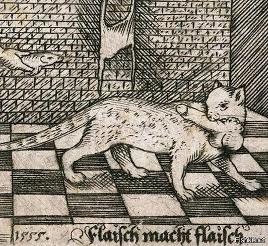 Солянка от 25.10.2025