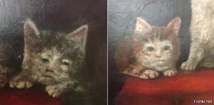 Солянка от 25.10.2025