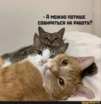 20 фото, которые лечат душу лучше любой терапии