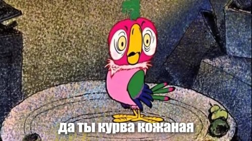 Хозяин перехитрил попугая