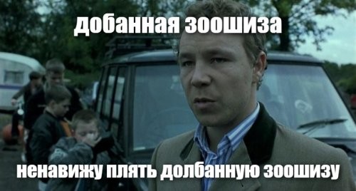 В Ставрополе зоозащитники отобрали собаку у службы отлова