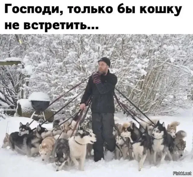 Двух, рванувших в разные стороны
Устав гарнизонной и караульной службы ВС РФ/Приложение 11
5. ... Каждый вожатый ведет не более двух собак, обязательно в намордниках.