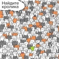 Здесь точно найдёшь