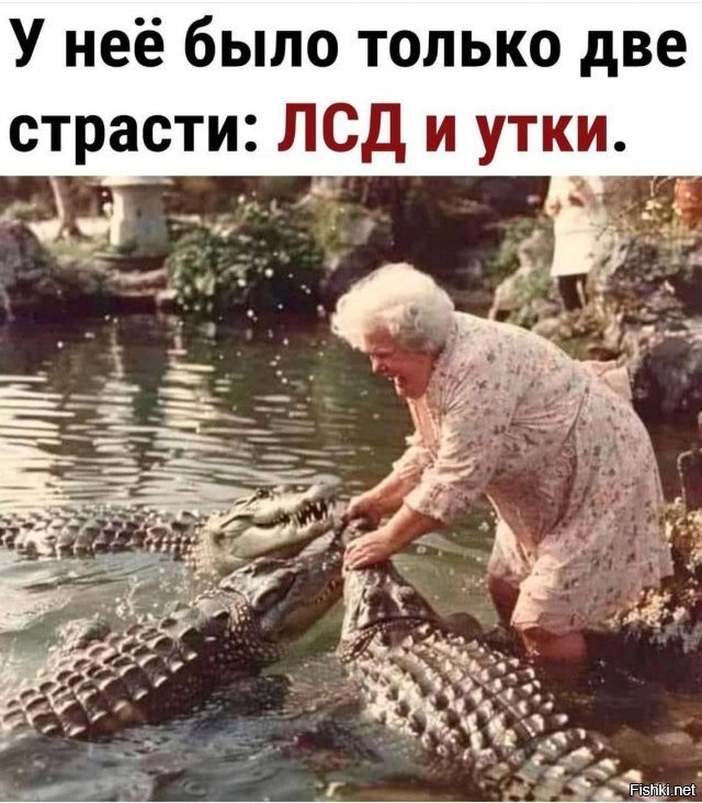 Большая тарелка улыбатора