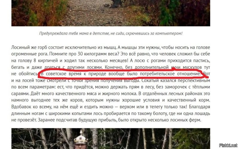 Несмотря на некоторую познавательность, что стало нечастым на "Фишках", за вот этот ублюдочный наброс сразу "палец вниз", без вариантов: