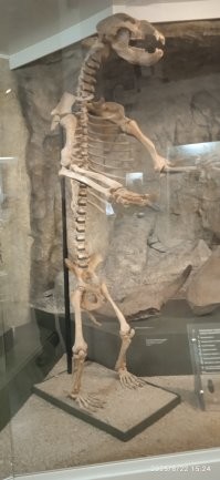 В Париже не бывал, не знаю. Но в августе ходил с женой в Челябинский краеведческий музей. Очень понравилось.