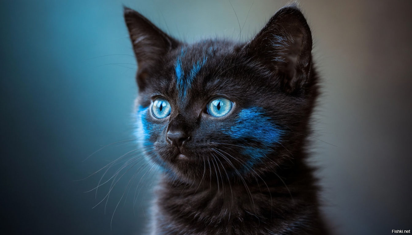 Солянка от 26.10.2025