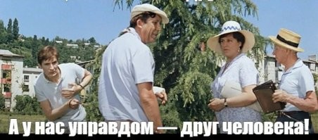 Карликовые козы становятся новыми домашними любимцами по всему миру