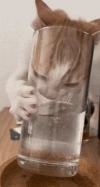 Это завтра.