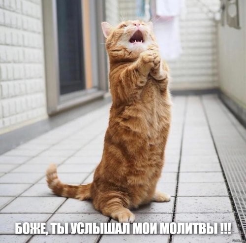 Солянка от 26.10.2025