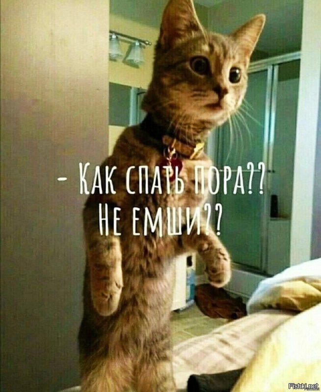 Солянка от 26.10.2025